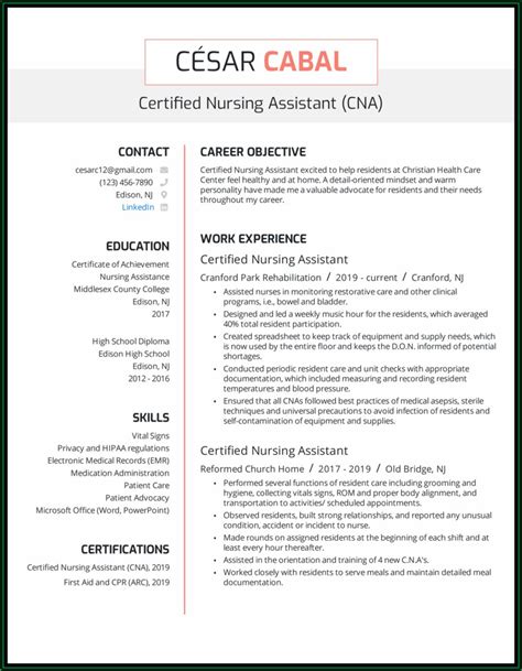 professional summary examples  nursing assistant resume resume