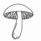 Coloring Clipart Fungus Pages Fungi Plants Fensterbilder Downloads Clipground Gif sketch template