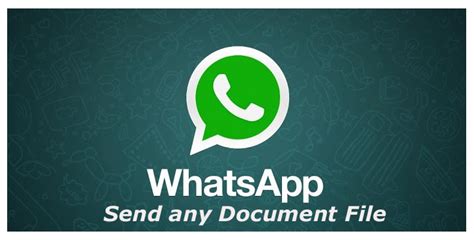 send  document file  whatsapp