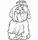 Maltese Dog Coloring Cartoon Vector Book Puppy Designlooter Vectors Dogs sketch template