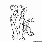 Cheetah Coloring Baby Pages Clipart Color Animals Tamarin Animal Kids Online Thecolor Jungle Drawing Cheetahs Print Drawings Printable Colorin Book sketch template