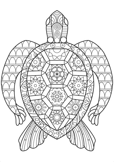 turtle coloring page  adult coloringbay
