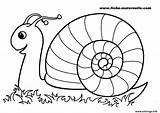 Maternelle Coloriage Escargot Dessin Rentree Imprimer sketch template