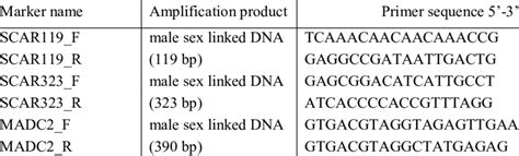 primers used for sex determination download table