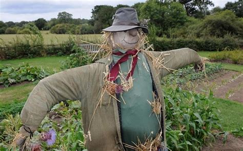 Music Graduate Gets Job As Human Scarecrow Telegraph