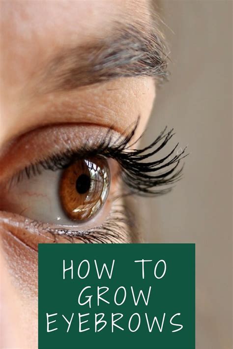 how to grow eyebrows naturally home remedies for