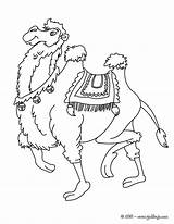 Camello Chameau Kamel Hellokids Coloriages Dromadaire Camile Desene Salvajes Colorat Línea sketch template