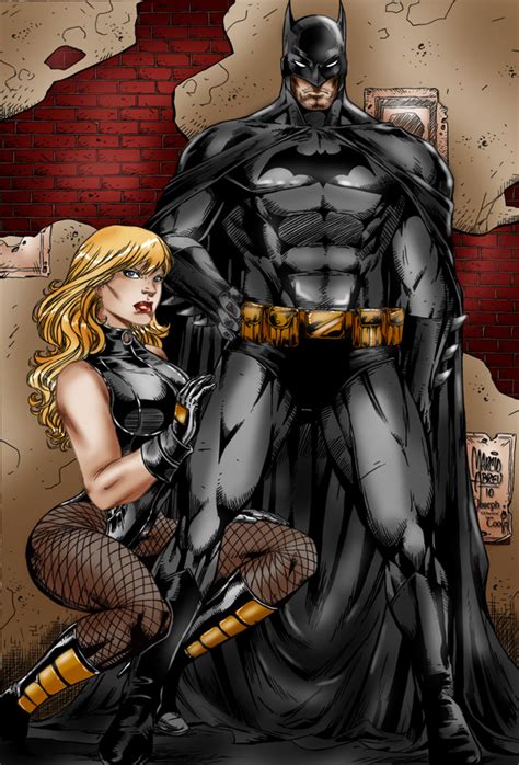 Who S Hotter Catwoman Or Black Canary Dc Comics