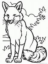 Coloring Fox Pages Library Clipart Animal Printable sketch template