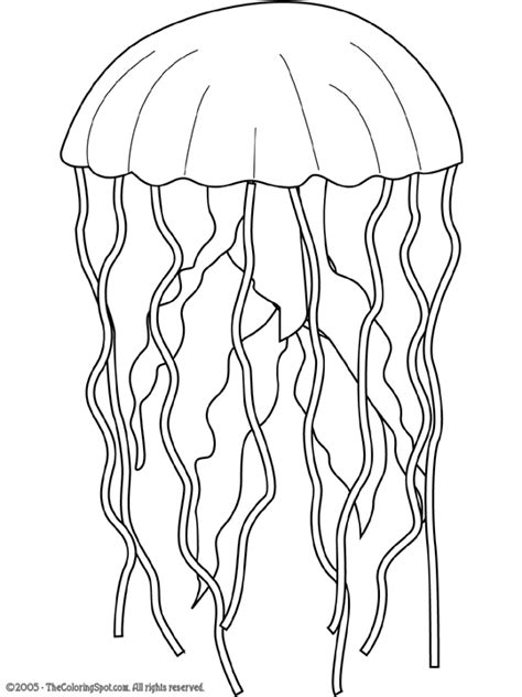 jellyfish coloring page audio stories  kids  coloring pages