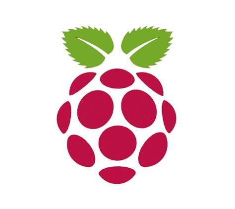 raspberry pi icon png   icons library
