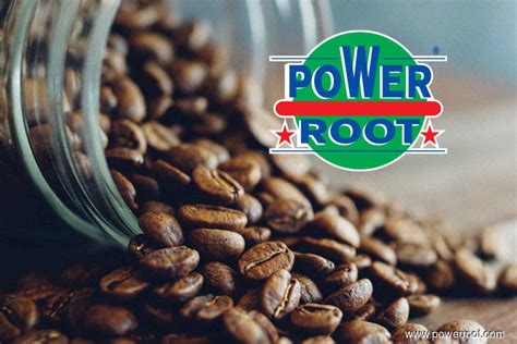 power root expecting  growth   strategies  edge markets