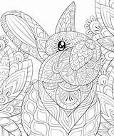Colorare Rilassarsi Sveglia Impagina Coniglio sketch template