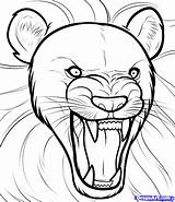 Lion Roaring Draw Drawing Easy Step Face Angry Pencil Drawings King Anime Dragoart Safari Coloring Clipart Cute Sketches Kids Getdrawings sketch template