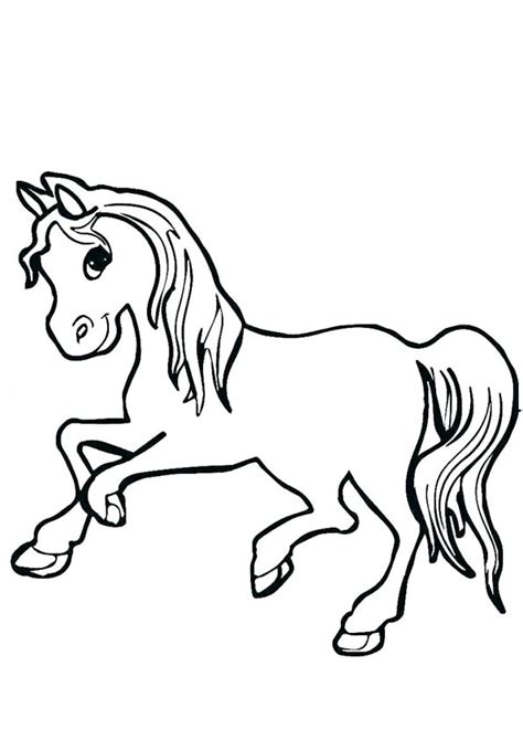 coloring pages animated baby horse coloring page