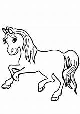 Coloring Pages Horse Baby sketch template