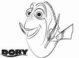 Dory Coloring Pages Lovers Fish Bestcoloringpagesforkids Via sketch template