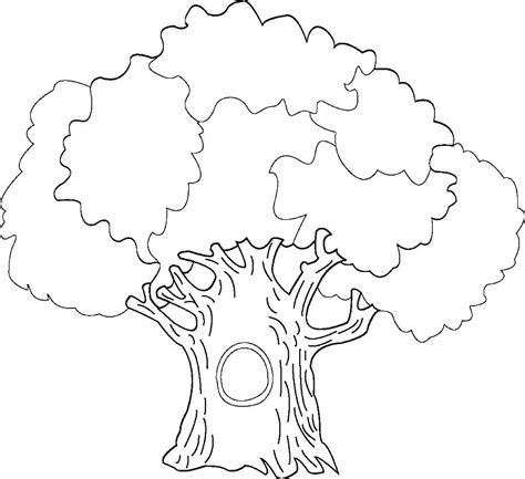 family tree coloring page  getcoloringscom  printable