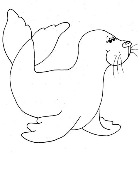 seal animals coloring pages animal coloring pages bear coloring