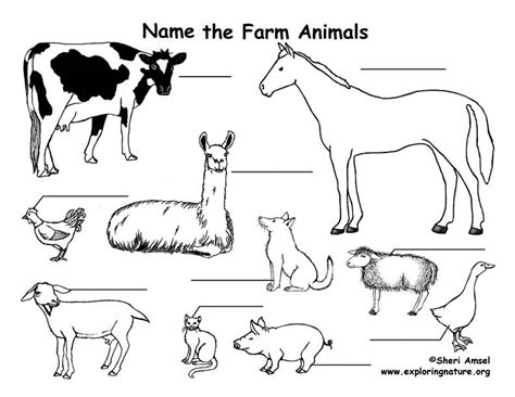 farm animals labeling page