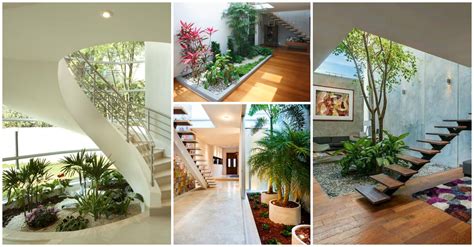 dreamy interior gardens  green  home top dreamer