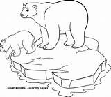 Polar Bear Baby Coloring Pages Express Clip Vector Royalty Cute Mother Getdrawings Illustrations Getcolorings Similar sketch template