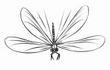 Dragonfly Printable sketch template
