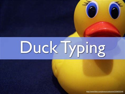 duck typing httpwwwickrcomphotoscatdonmit