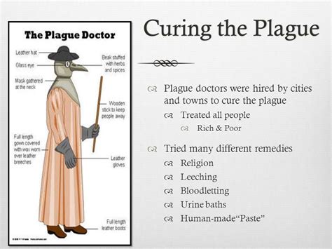 black plague doctor treatments yahoo image search results plague