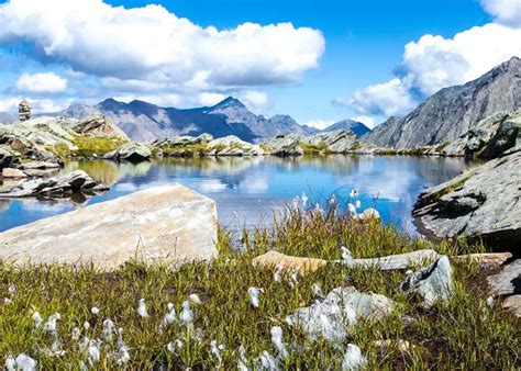 italians gran paradiso national park  world  discover