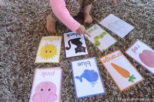 printables color cards  toddlers