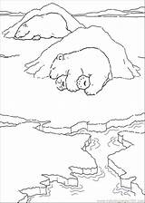 Bear Hibernating Coloring Getcolorings Pages Animals Hibernate sketch template