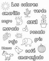 Spanish Coloring Pages Worksheets Colors Printable Numbers Color Words Preschool Activities Kindergarten Kids Worksheet Learning Colores Printables Los Number Word sketch template