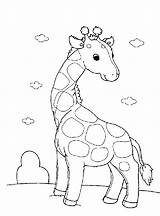 Coloring Pages Giraffe Kids sketch template