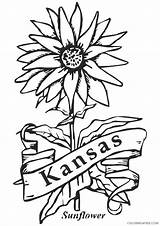 Coloring Kansas Pages Sunflower State Coloring4free Flower Bird Printable Sunflowers City Flowers Gogh Van Drawing Kids Birthday Newyork Times Related sketch template