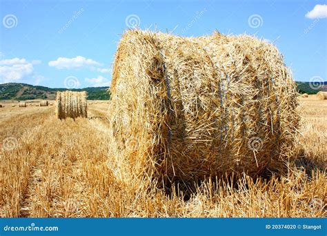 hay bale stock photo image  barbed farm harvest