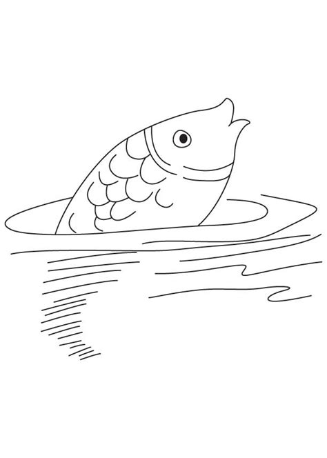 fish moving  water coloring page   fish moving  water