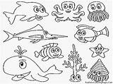 Animais Marinhos Sea Oceano sketch template
