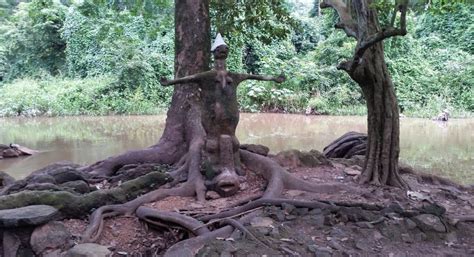 mystery   osun osogbo sacred grove  nigeria life  gaia
