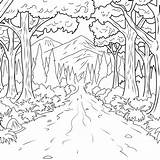 Forest Taiga Getdrawings Drawing Enchanted sketch template