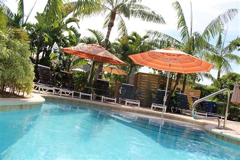 cabanas guesthouse spa desde  wilton manors fl