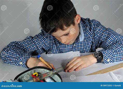boy  maths homework stock photo image  learning