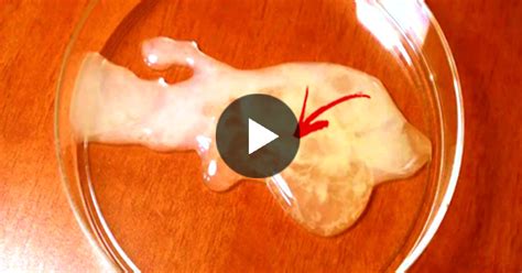 [trending now] curious what sperm cells look like under a microscope then be sure to watch this