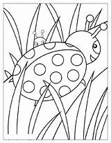Biedronka Collage Kolorowanka Coloriage Printemps Gommettes Ausmalbilder Insekt Druku Briconounou Bug Papiers Janna Ete Wydrukuj Malowankę Drukowania Drukowanka sketch template