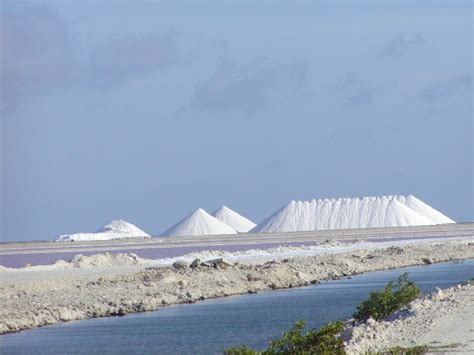 natural sea salt products ghana natural sea salt supplier