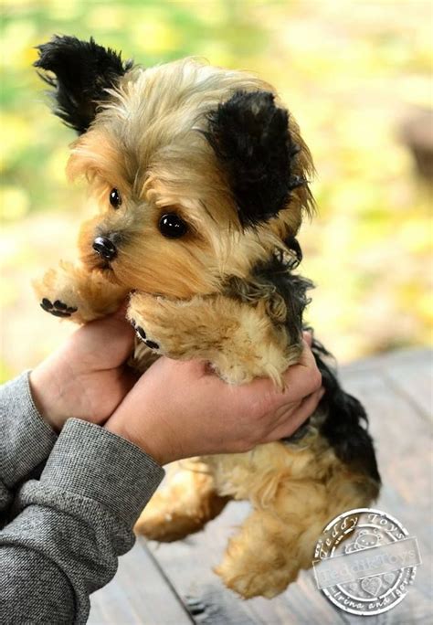puppy yorkshire terrier stuffed dog realistic stuffed dog pet portrait