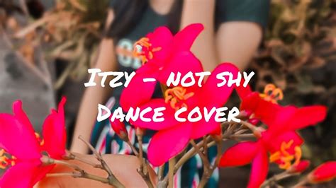 itzy not shy dance cover sunshine official youtube