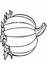Pumpkin Line Drawing Coloring Pages Clipart Halloween Library sketch template