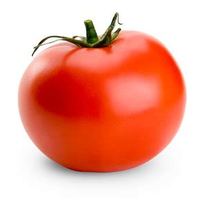infos tomates tomates anciennes ou modernes decouvrez  de