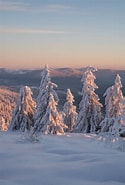 Bildergebnis für Bayerischer Wald Schnee. Größe: 125 x 185. Quelle: www.naturparkmagazin.de